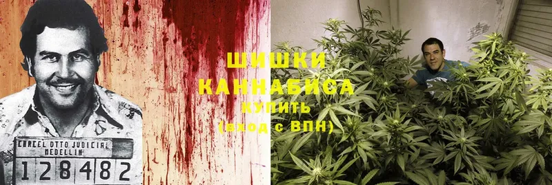 Бошки марихуана White Widow  где можно купить наркотик  ОМГ ОМГ ONION  Тара 